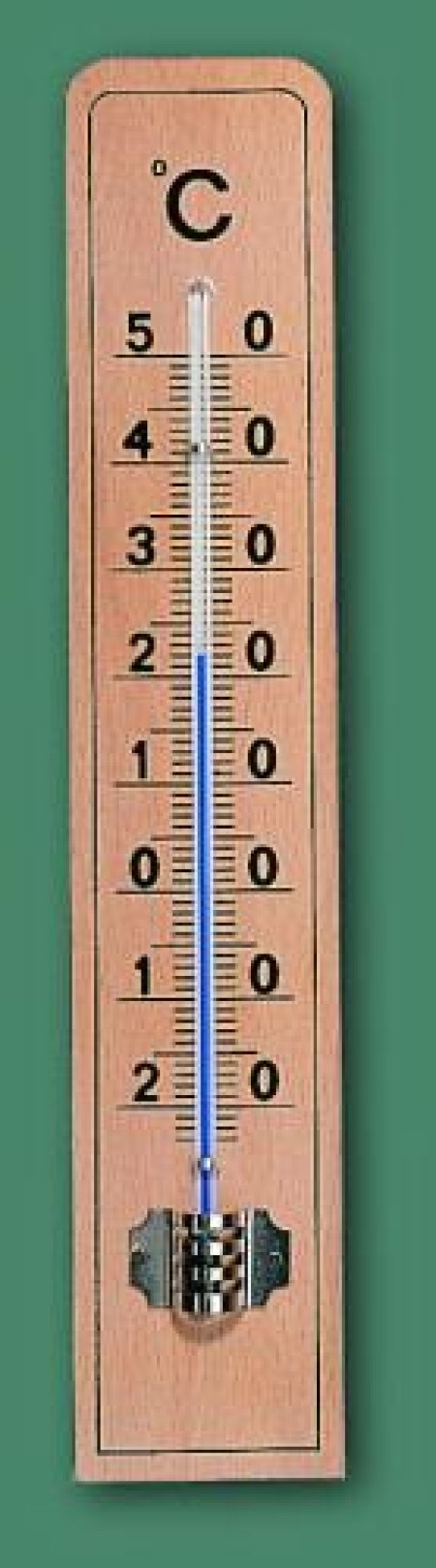 TERMOMETER LESENI ZUNANJI IN NOTRANJI 260X55MM