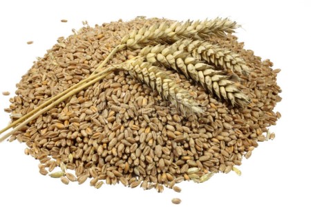 PŠENICA 10KG EMONA