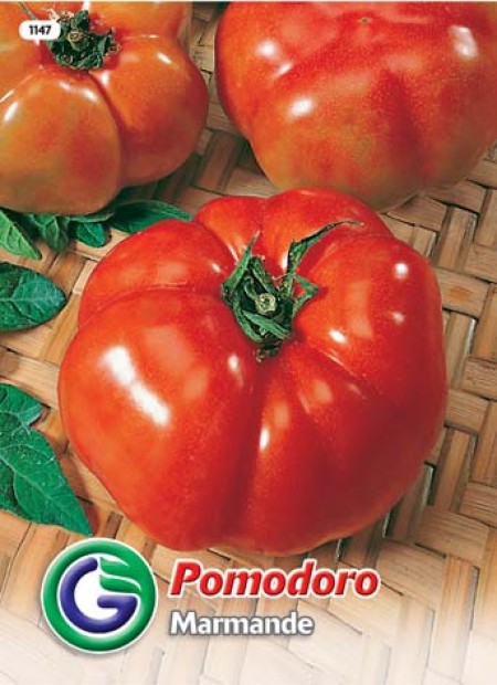 SEME PARADIŽNIK MARMANDE(1147)
