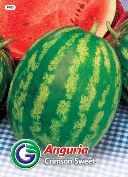 SEME LUBENICA CRIMSON SWEET (1003)