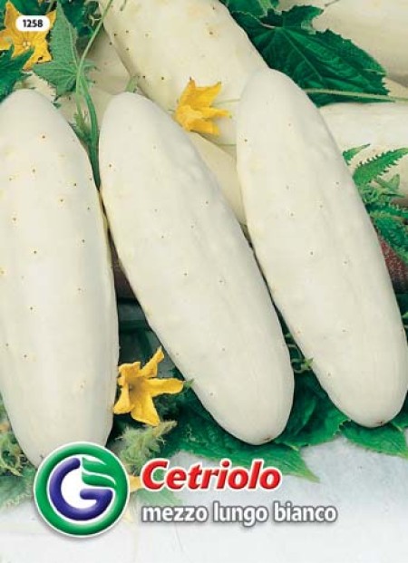 SEME KUMARICE MEZZO LUNGO BIANCO (1258)