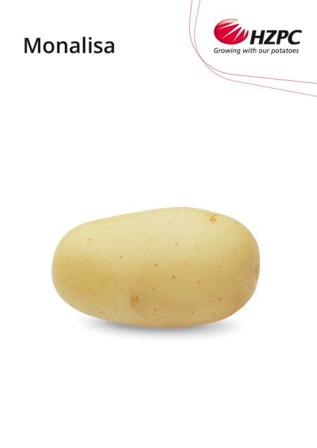 KROMPIR MONALISA "A" 35/50 25KG - AGROLIT