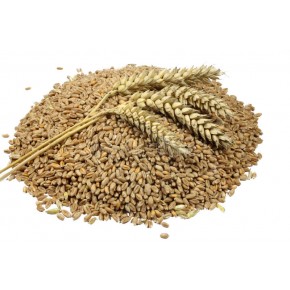 PŠENICA 10KG EMONA