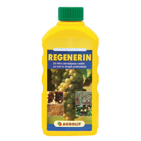 REGENERIN 2,5 L