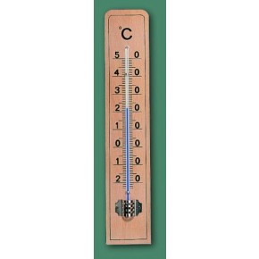 TERMOMETER LESENI ZUNANJI IN NOTRANJI 260X55MM