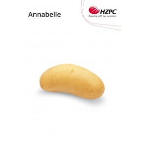 KROMPIR KIFELČAR ANNABELLE "A" 28/35  2,5KG - AGROLIT