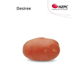KROMPIR DESIREE "A" 28/35  5KG - AGROLIT