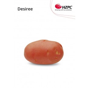 KROMPIR DESIREE "A" 35/55 25KG - AGROLIT