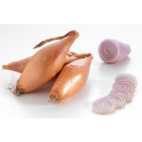 ŠALOTKA 7-14 MM 0,5 KG RDEČA - AGROLIT