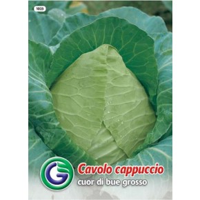 SEME ZELJE CUOR DI BUE (1023)