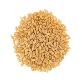 PŠENICA KRMNA 30KG AGROLIT